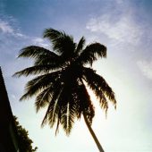  Caye Caulker, Belize